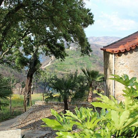 Oak Cottage Ferreira do Zêzere Exterior foto